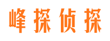 平远市侦探调查公司